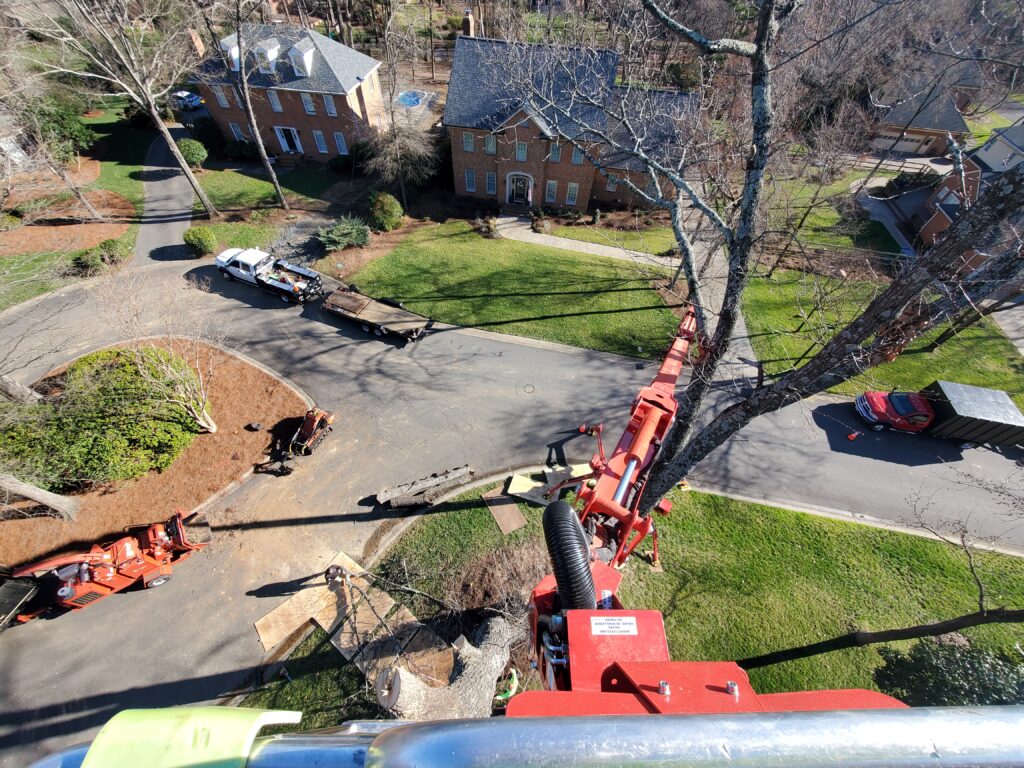 Cutting tree on a lift.