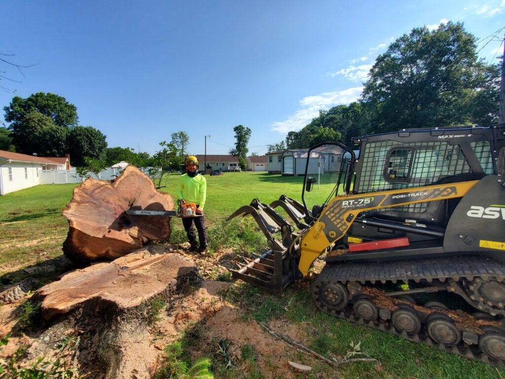 man cutting a tree.