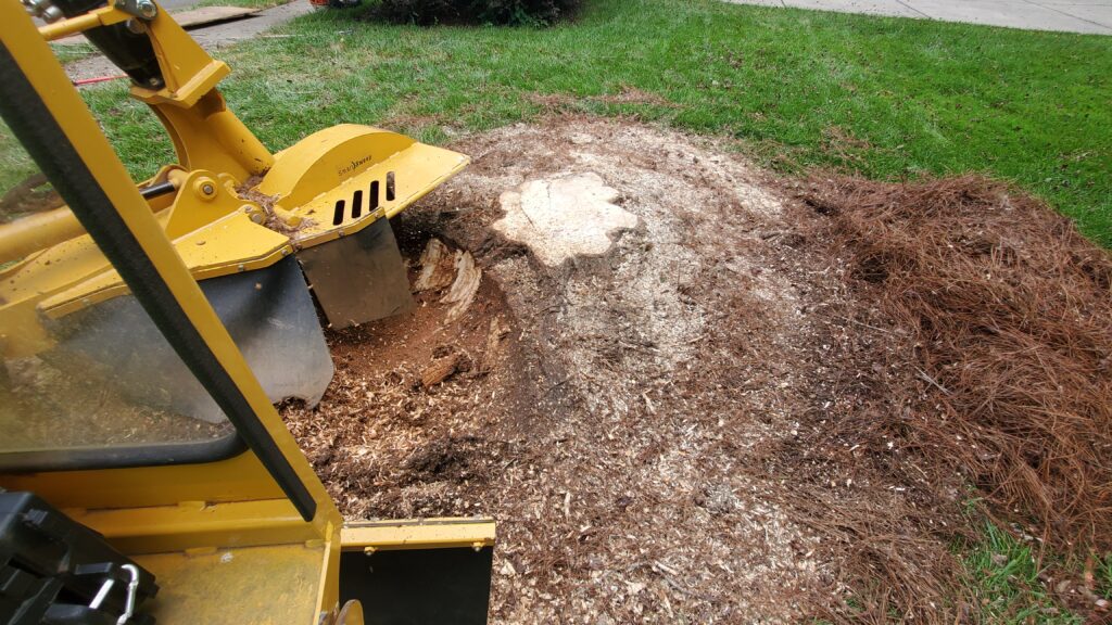 Removing stump from the ground.