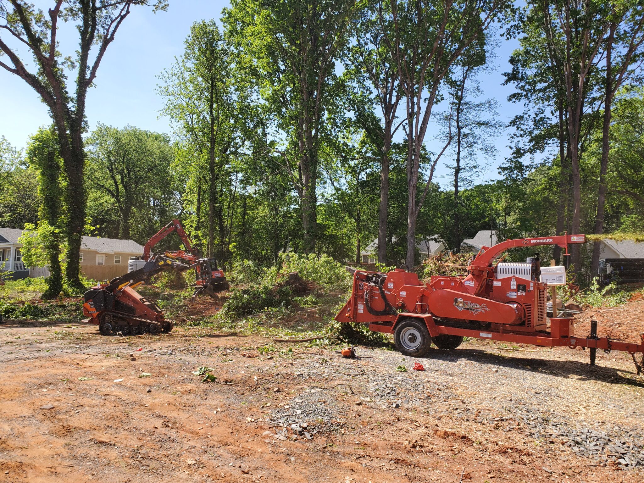 Clearing land in charlotte.