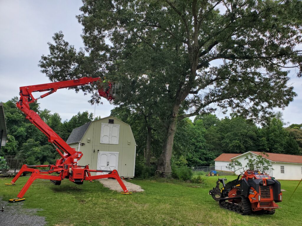 crew in a lift trimming trees.