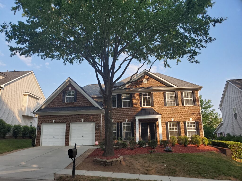 house with a trimmed tree.