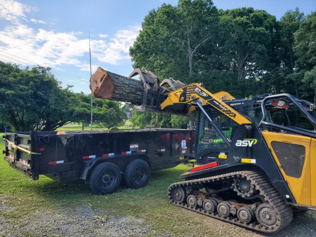 lift putting tree trunk in a truck.