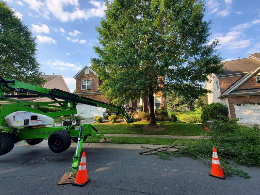 tree cutting equipment in front of a house.