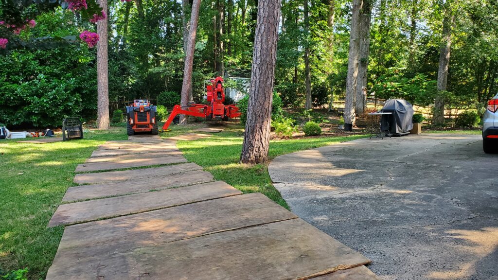 tree professionals preparing gear.