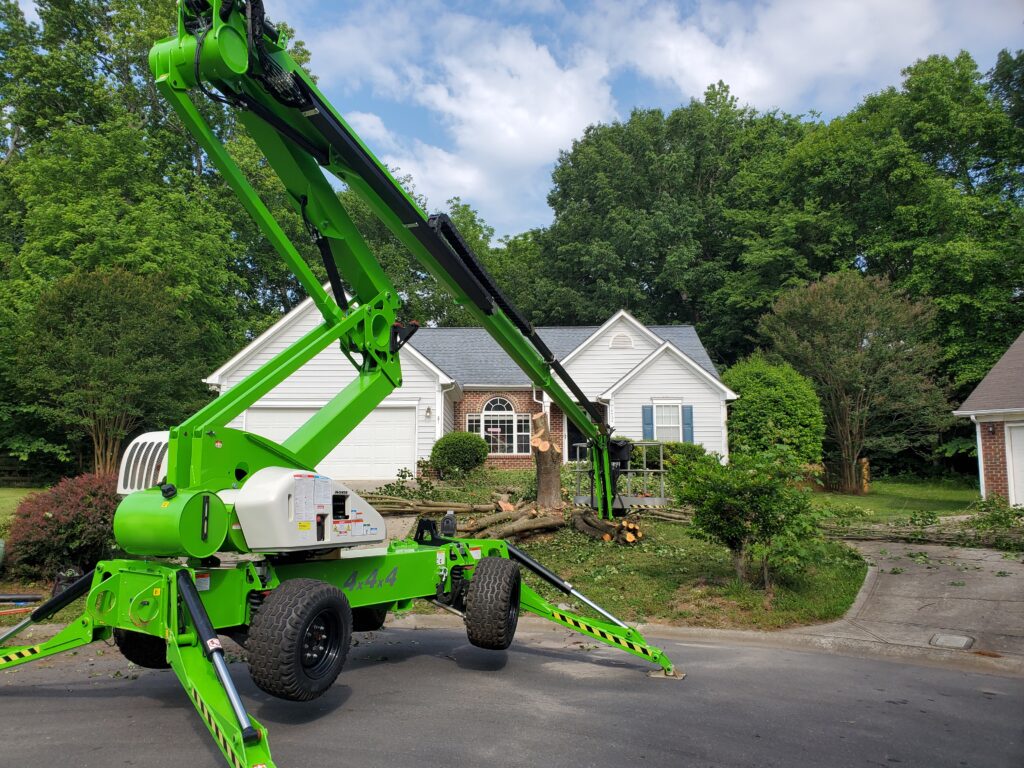 tree professionals cutting tree trunk with equipment.